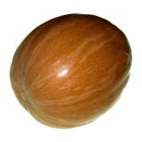 Muskat-Kürbis