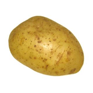 Kartoffeln gewaschen "Belana" fk