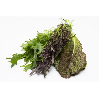 Asia-Salat