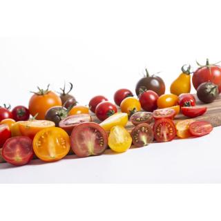 Snacktomaten bunt 500g