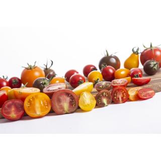 Cherrytomate bunt