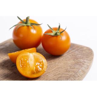 Tomate bunt