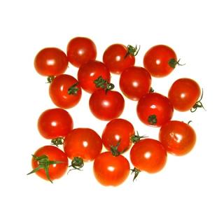 Cherrytomaten rot