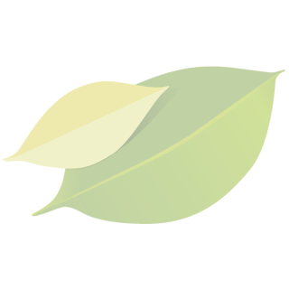 Cherrytomate braun