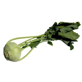 Kohlrabi