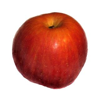 Apfel "Ambassy"