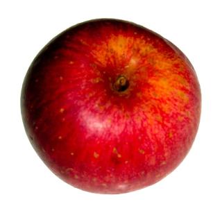 Apfel "Barbarossa"