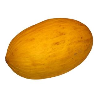Honigmelone Canari