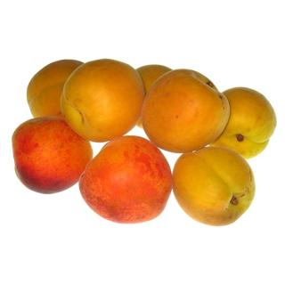 Aprikosen