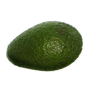 Avocado klein